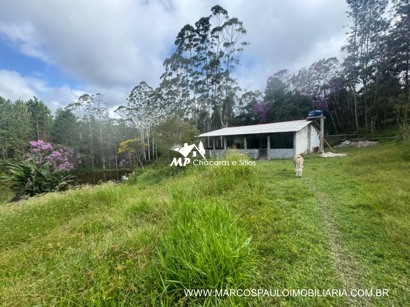 SÍTIO COM MUITA ÁGUA EM BIRITIBA MIRIM