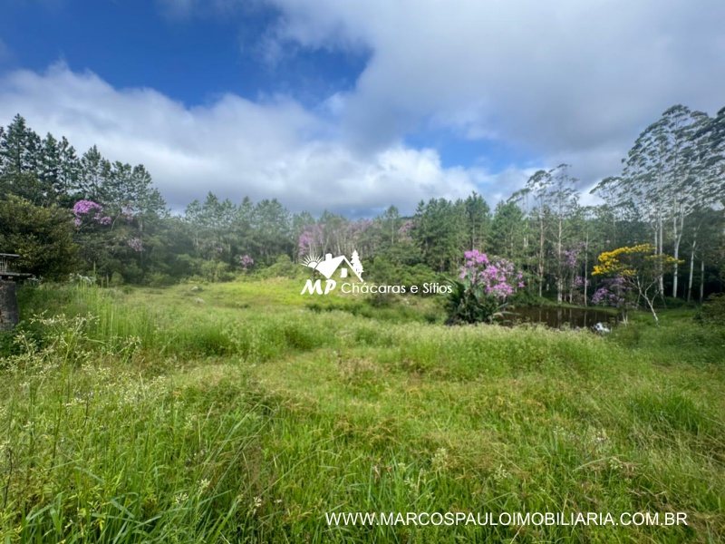 SÍTIO COM MUITA ÁGUA EM BIRITIBA MIRIM