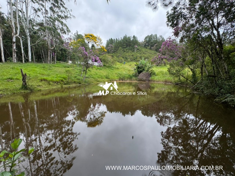 SÍTIO COM MUITA ÁGUA EM BIRITIBA MIRIM