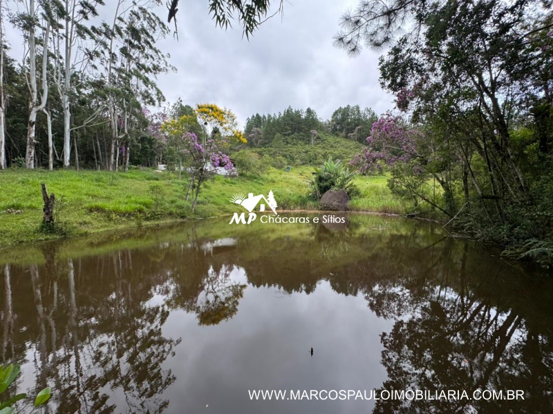 SÍTIO COM MUITA ÁGUA EM BIRITIBA MIRIM