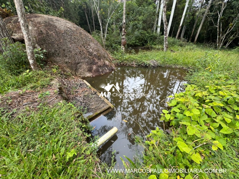 SÍTIO COM MUITA ÁGUA EM BIRITIBA MIRIM