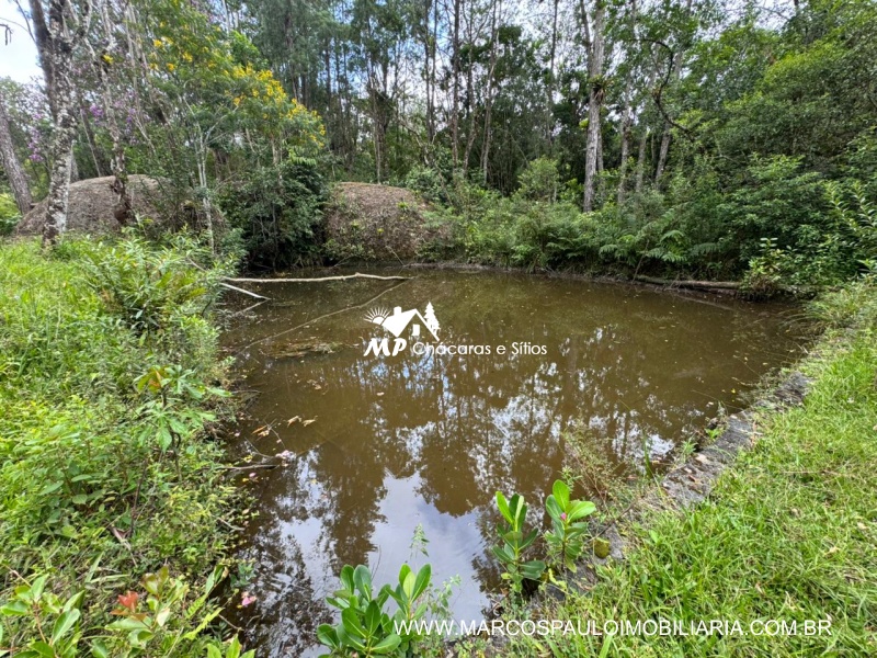 SÍTIO COM MUITA ÁGUA EM BIRITIBA MIRIM