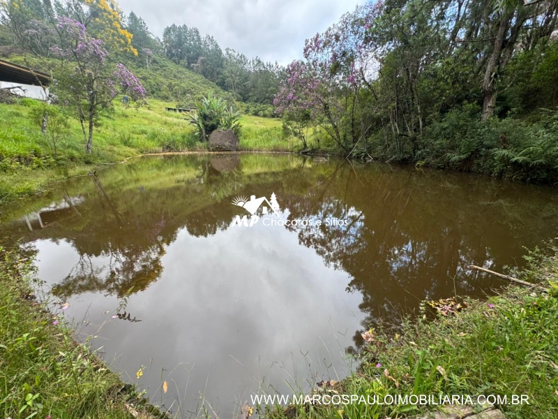 SÍTIO COM MUITA ÁGUA EM BIRITIBA MIRIM