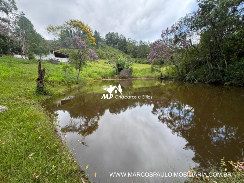 SÍTIO COM MUITA ÁGUA EM BIRITIBA MIRIM