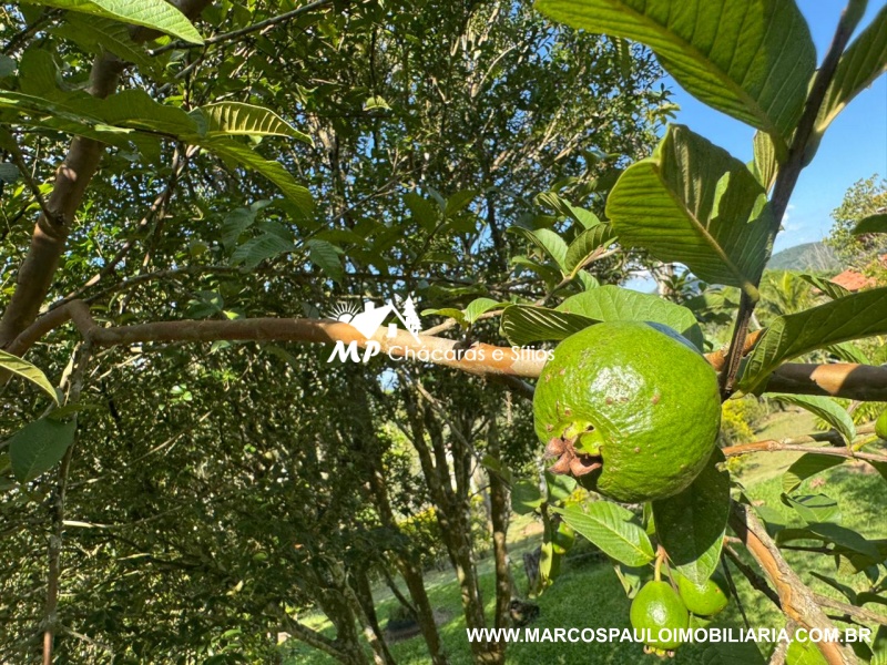 CHÁCARA ESPETACULAR EM BIRITIBA MIRIM